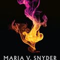 Cover Art for B00NF36ZKS, Shadow Study (Soulfinders Book 4) by Maria V. Snyder