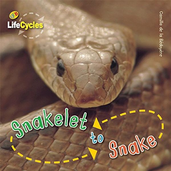 Cover Art for 9781609920463, Snakelet to Snake (Life Cycles) by De Bedoyere, La Camilla