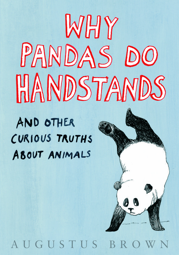 Cover Art for 9780593056936, Why Pandas Do Handstands...: And Other Curious Truths About Animals by Augustus Brown