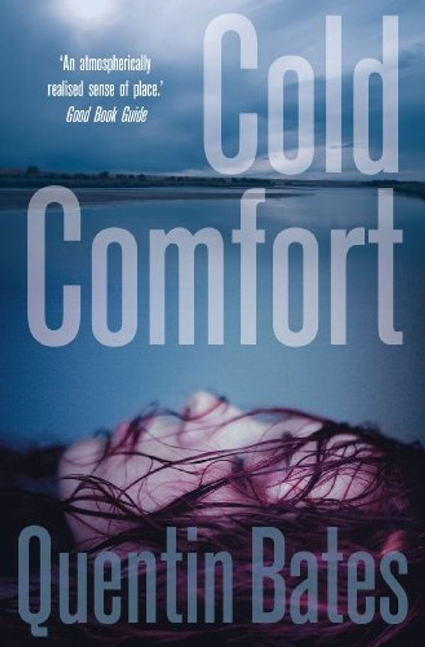Cover Art for B005RZB78W, Cold Comfort (Gunnhildur Mystery Book 2) by Quentin Bates