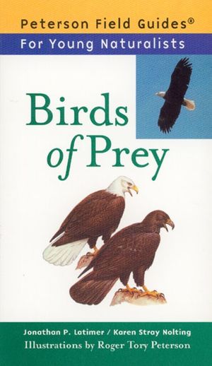 Cover Art for 9780395922774, Birds of Prey by Karen Stray Nolting