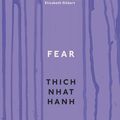 Cover Art for 9781846043185, Fear: Essential Wisdom for Getting Through The Storm by Thich Nhat Hanh
