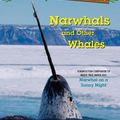 Cover Art for 9781984893215, Narwhals and Other Whales: A nonfiction companion to Magic Tree House #33 by Mary Pope Osborne, Natalie Pope Boyce