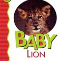 Cover Art for 9780824965792, Baby Lion by Julie Shively