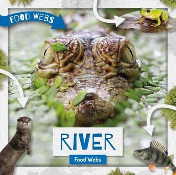 Cover Art for 9781786376237, River Food Webs by Harriet Brundle