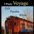 Cover Art for 9781435739130, Voyage by Glen River