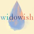 Cover Art for 9781542018784, Widowish: A Memoir by Melissa Gould