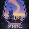 Cover Art for 9780246137760, The Wild: Requiem for Homo Sapiens Bk. 2 by David Zindell