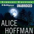 Cover Art for 9781441812483, Turtle Moon by Alice Hoffman