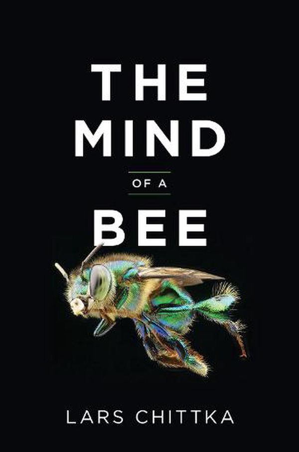 Cover Art for 9780691253893, The Mind of a Bee by Lars Chittka