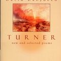 Cover Art for 9781900715683, Turner by David Dabydeen
