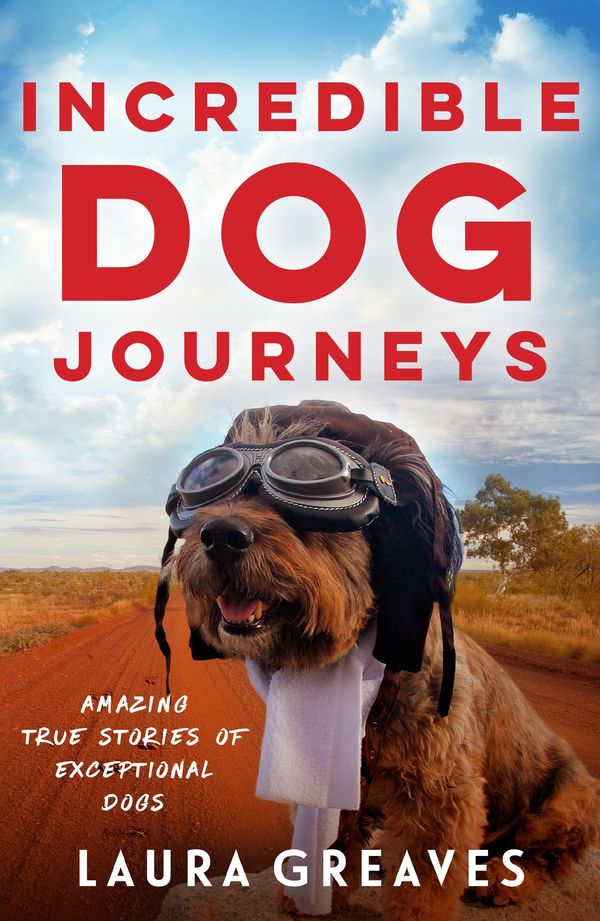 Cover Art for 9781760142643, Incredible Dog Journeys (eBook) by Laura Greaves