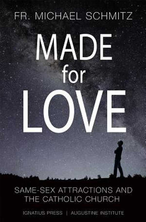 Cover Art for 9781621642190, Made for Love by Michael Schmitz