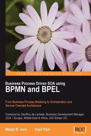 Cover Art for 9781847191465, Business Process Driven SOA Using BPMN and BPEL by Kapil Pant