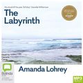 Cover Art for 9781038628862, The Labyrinth by Amanda Lohrey