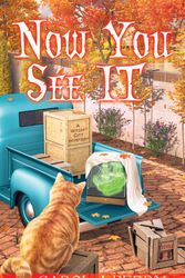 Cover Art for 9781496743640, Now You See It (A Witch City Mystery) by Perry, Carol J.