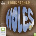 Cover Art for 9781489453952, Holes by Louis Sachar