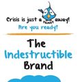 Cover Art for 9789386446794, The Indestructible BrandCrisis Management in the Age of Social Media by Venke Sharma,Hushidar Kharas