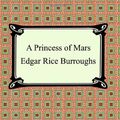 Cover Art for 9781587156168, A Princess of Mars by Edgar Rice Burroughs