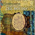 Cover Art for 9780815344544, Essential Cell Biology by Bruce Alberts