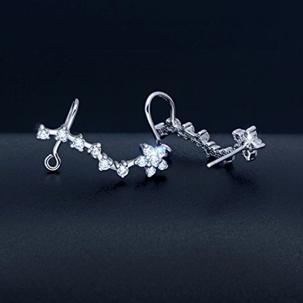 Cover Art for 6985341778259, ZPD 925 Tremella Nails female Korean fashion fresh art ear piece earrings earrings pop jewelry gift,Han Mei,One size by 