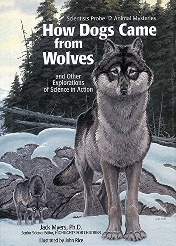 Cover Art for 9781590782781, How Dogs Came from Wolves by Jack Myers