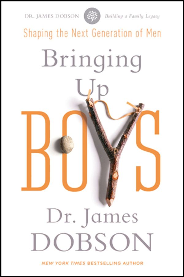 Cover Art for 9781414341477, Bringing Up Boys by James C. Dobson