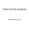 Cover Art for 9781414248820, Two Little Savages by Ernest Thompson Seton