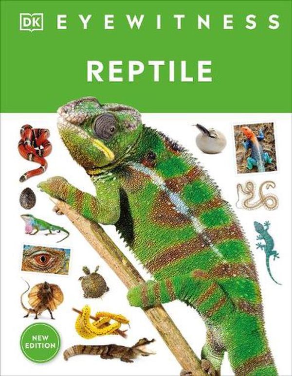 Cover Art for 9780744084788, Eyewitness Reptile (DK Eyewitness) by DK