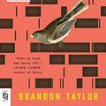 Cover Art for 9780593418512, Real Life by Brandon Taylor
