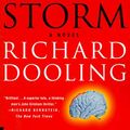Cover Art for 9780312203993, Brain Storm by Richard Dooling