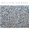 Cover Art for 9780330375788, The Snow Geese by William Fiennes