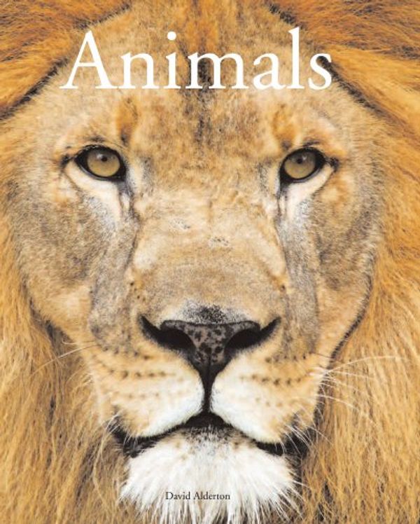 Cover Art for 9781906842017, Encyclopedia of Animals by David Alderton
