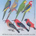 Cover Art for 9781876334710, The Slater Field Guide to Australian Birds by Peter Slater, Pat Slater, Raoul Slater