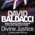 Cover Art for 9781743035153, Divine Justice by David Baldacci