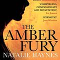 Cover Art for B00GW5DYA0, The Amber Fury by Natalie Haynes