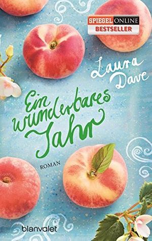 Cover Art for 9783734101564, Ein wunderbares Jahr: Roman by Laura Dave