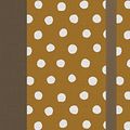 Cover Art for 9781433553431, ESV Thinline Bible (Cloth Over Board, Polka Dots) by Crossway