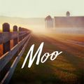 Cover Art for 9781509844203, Moo by Jane Smiley
