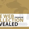 Cover Art for 9781435482647, The Web Collection Revealed Premium Edition, Hardcover: Adobe Dreamweaver CS4, Adobe Flash CS4, and Adobe Photoshop CS4 (Revealed Series Vision) by Sherry Bishop