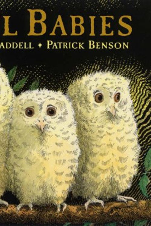 Cover Art for 9781406302851, Owl Babies by Martin Waddell