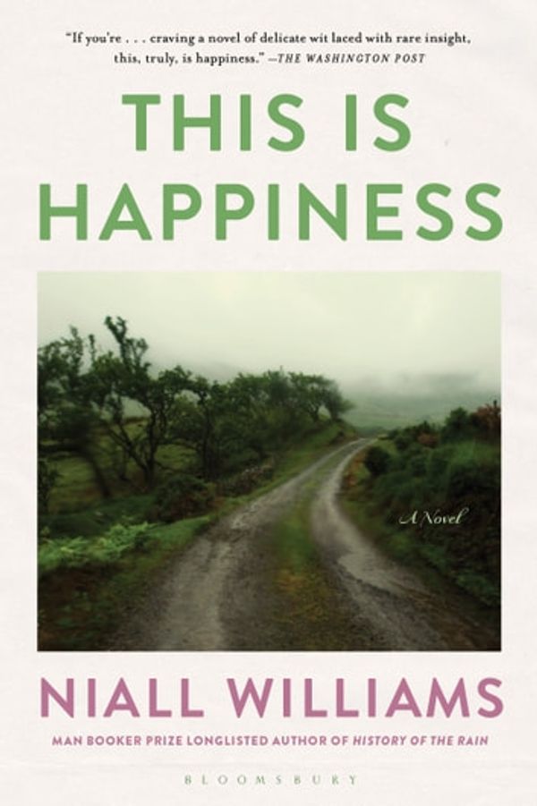 Cover Art for 9781635574210, This Is Happiness by Niall Williams