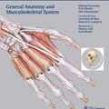 Cover Art for 9781604062878, General Anatomy and Musculoskeletal System (Thieme Atlas of Anatomy) by Michael Schuenke, Erik Schulte, Udo Schumacher