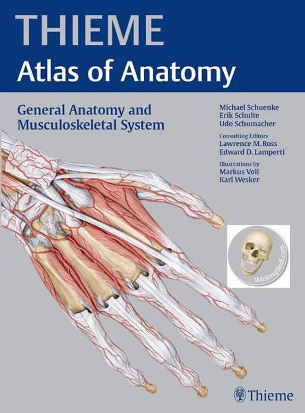 Cover Art for 9781604062878, General Anatomy and Musculoskeletal System (Thieme Atlas of Anatomy) by Michael Schuenke, Erik Schulte, Udo Schumacher