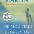 Cover Art for 9780739377697, The Mountain Between Us by Charles Martin