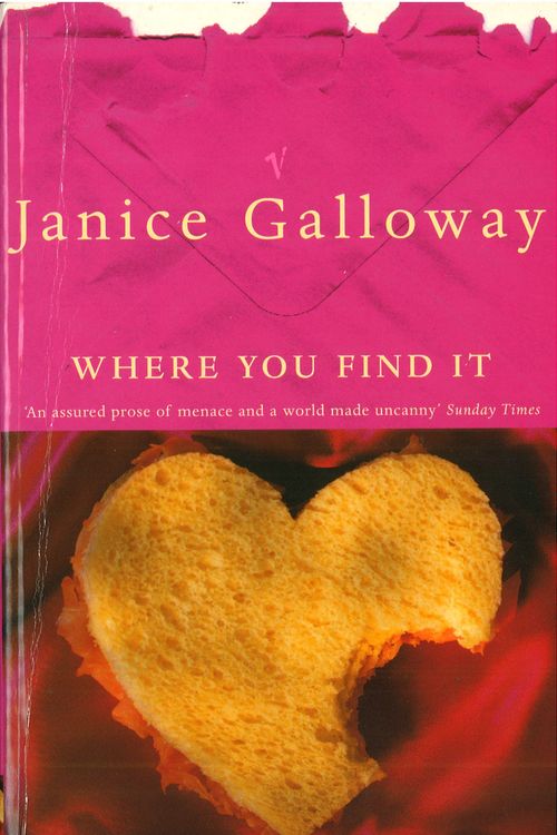 Cover Art for 9780099453116, Where You Find It by Janice Galloway