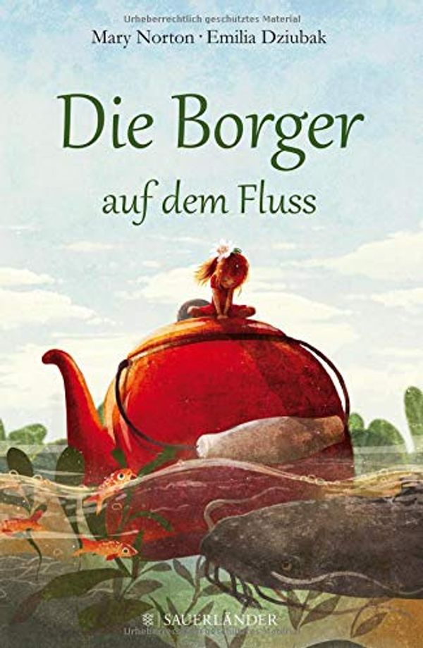 Cover Art for 9783737354400, Die Borger auf dem Fluss by Mary Norton