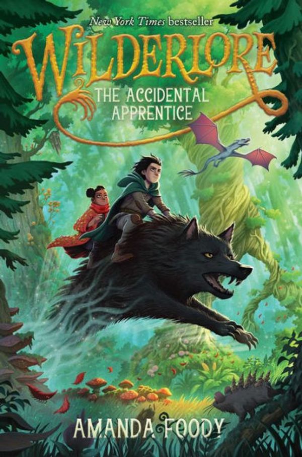 Cover Art for 9781534477582, The Accidental Apprentice by Amanda Foody