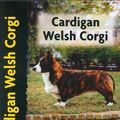 Cover Art for 9781903098981, Cardigan Welsh Corgi by Richard G. Beauchamp
