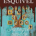 Cover Art for B076DK3ZJ5, Mi negro pasado (Como agua para chocolate 3) (Spanish Edition) by Laura Esquivel